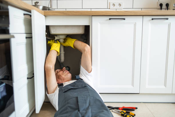 Best Pipe Repair Near Me  in Galls, IN