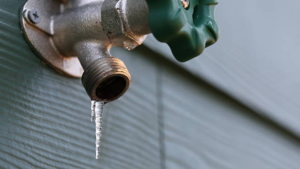 Best Clogged Drain Plumber  in Galls, IN